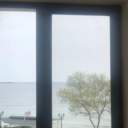 Daire комплекс рич 2